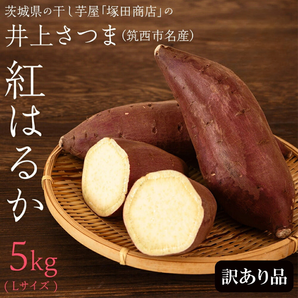 筑西市名産の井上さつま、紅はるか5kgの訳あり品のLサイズで1個380g前後のさつまいもです