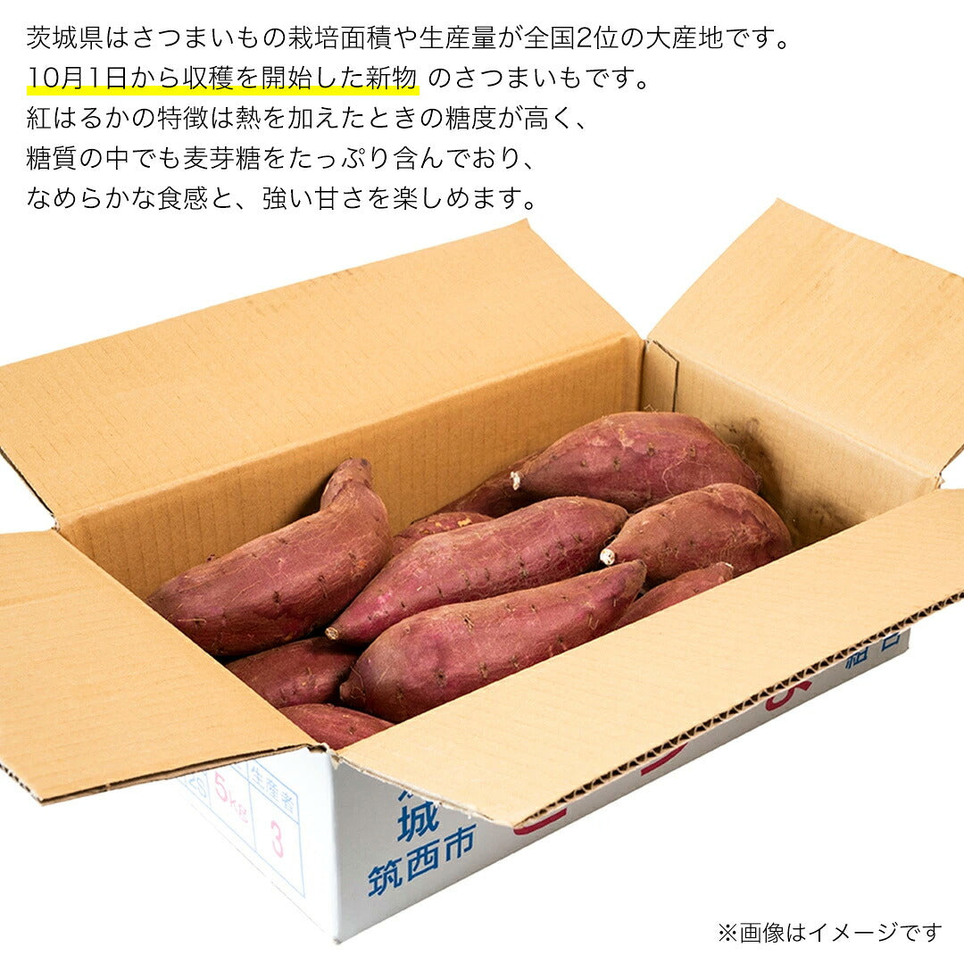 栽培面積・生産量が全国2位の茨城県で育った紅はるか。10月1日から収穫を始めた新物のさつまいもを箱に詰めてお届けします