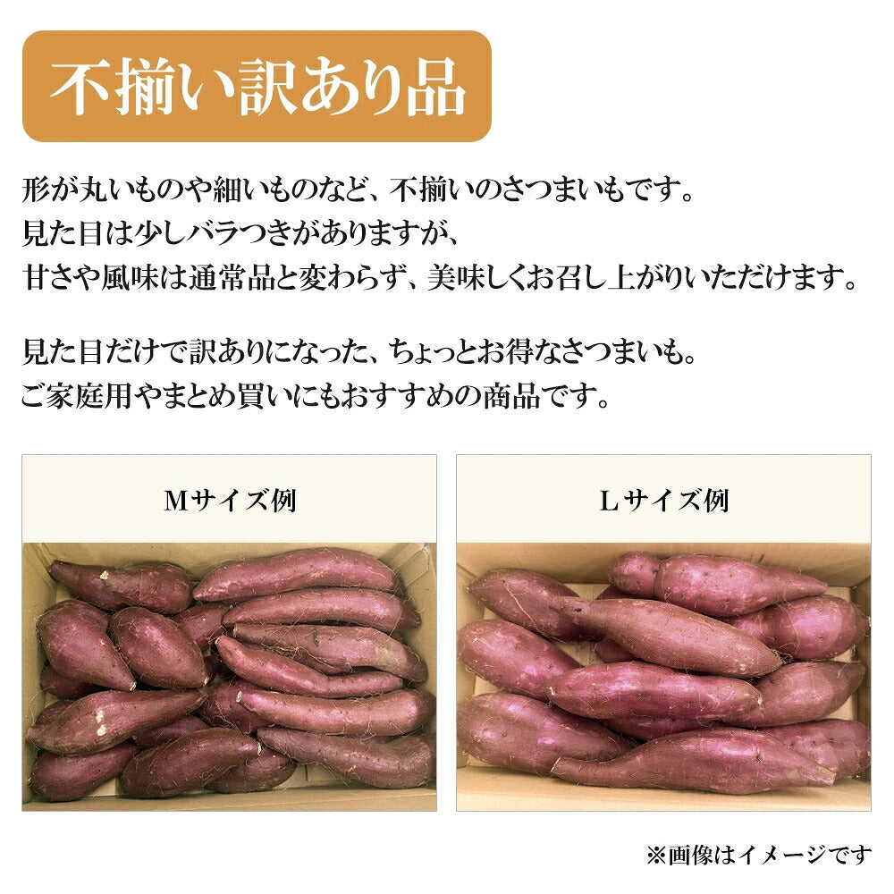 形が丸いものや細いものなど不揃いな訳あり品のさつまいもで、MサイズとLサイズの例を写真で紹介しています