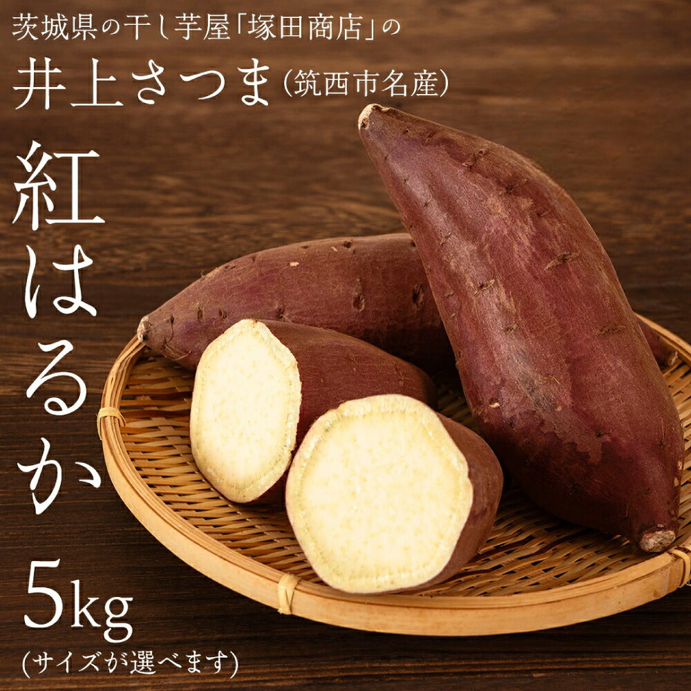 茨城県の干し芋屋塚田商店がお届けする筑西市名産の井上さつま、紅はるか5kgはサイズを選べます