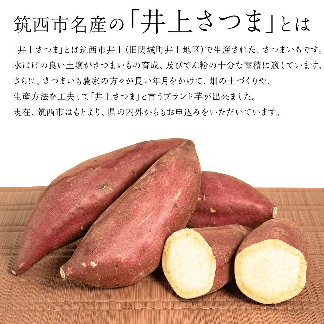 筑西市井上地区生まれのブランド芋「井上さつま」。水はけの良い土壌と農家の工夫で育った茨城県産のさつまいもです