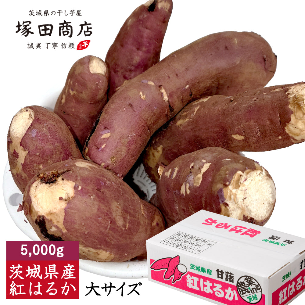 茨城県産紅はるか さつまいも 訳あり品 5,000g 中/大サイズ(洗浄済 傷あり 無選別)